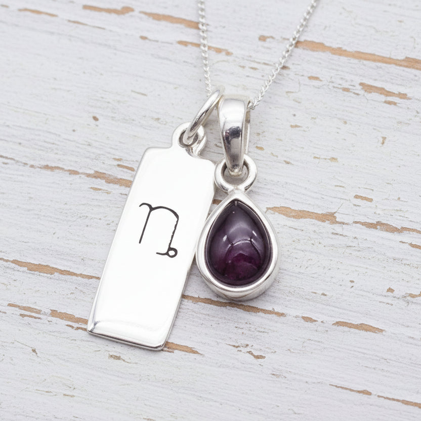 Zodiac Capricorn and January Birthstone Necklace Gold 16 Inch Gold