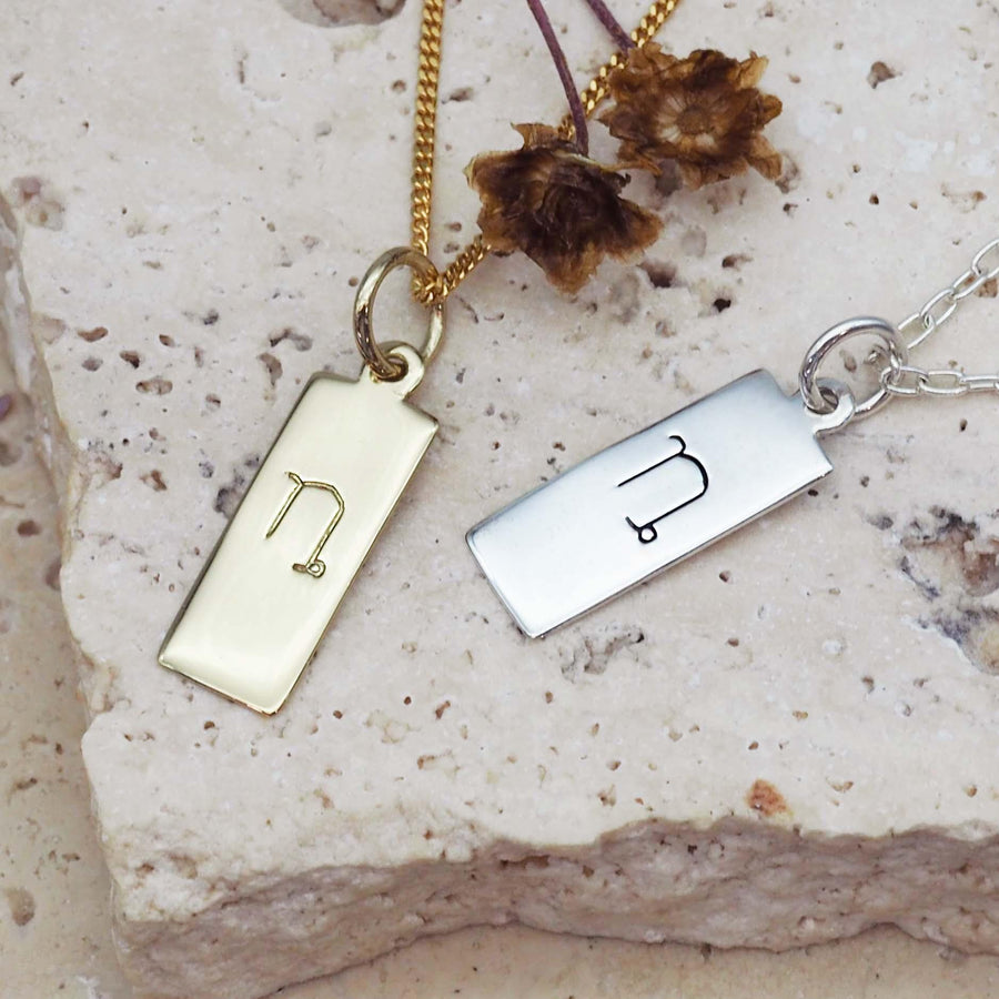 Capricorn Zodiac Necklaces in Gold and Sterling Silver - womens zodiac jewellery by indie and harper