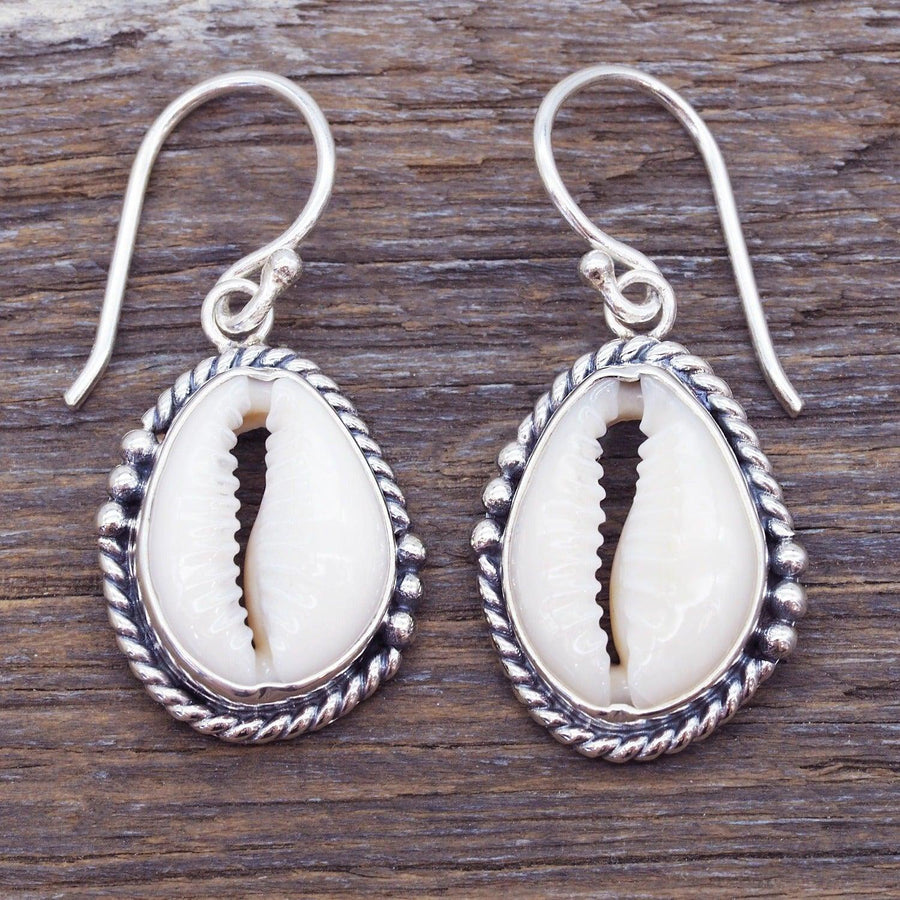 Sterling silver Cowrie Sea Shell Earrings - womens cowrie sea shell jewellery Australia 