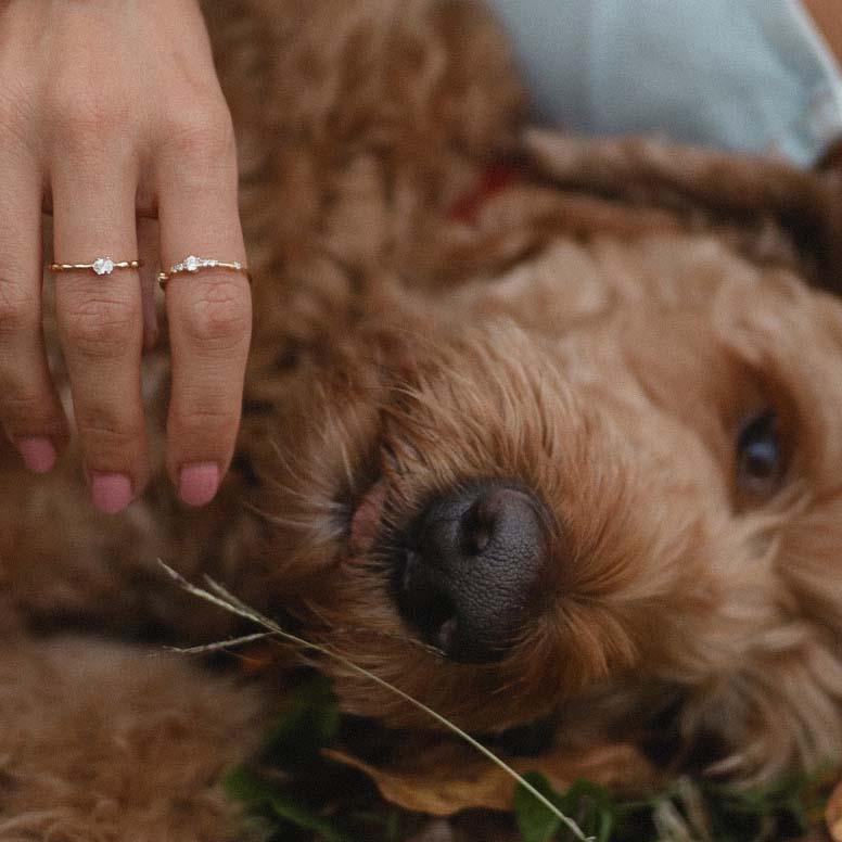 Woman wearing Dainty Gold Rings with cute dog - womens gold jewellery by indie and harper