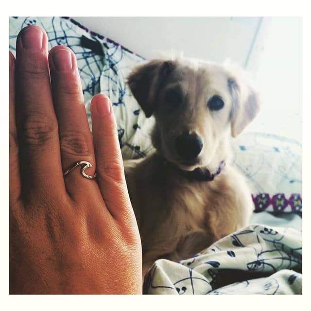 indie and harper sterling silver wave ring being worn with cute dog in the background