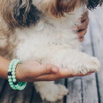 Lokai - Animal Rescue Bracelet - womens jewellery by indie and harper